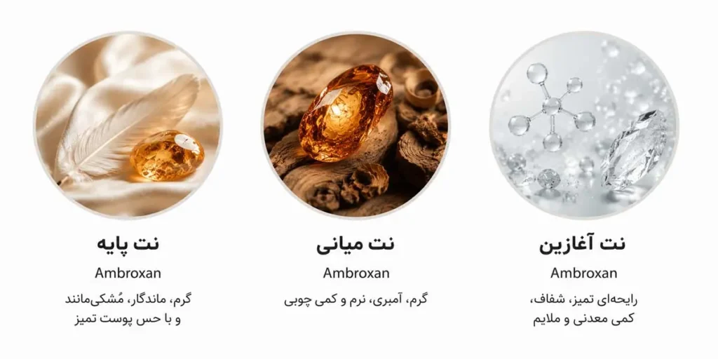 عطر ادکلن اسنتریک مولکول 02 | Escentric Molecule 02